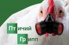 Памятка о правилах содержания птиц и мерах по предотвращению заноса и распространению гриппа птиц